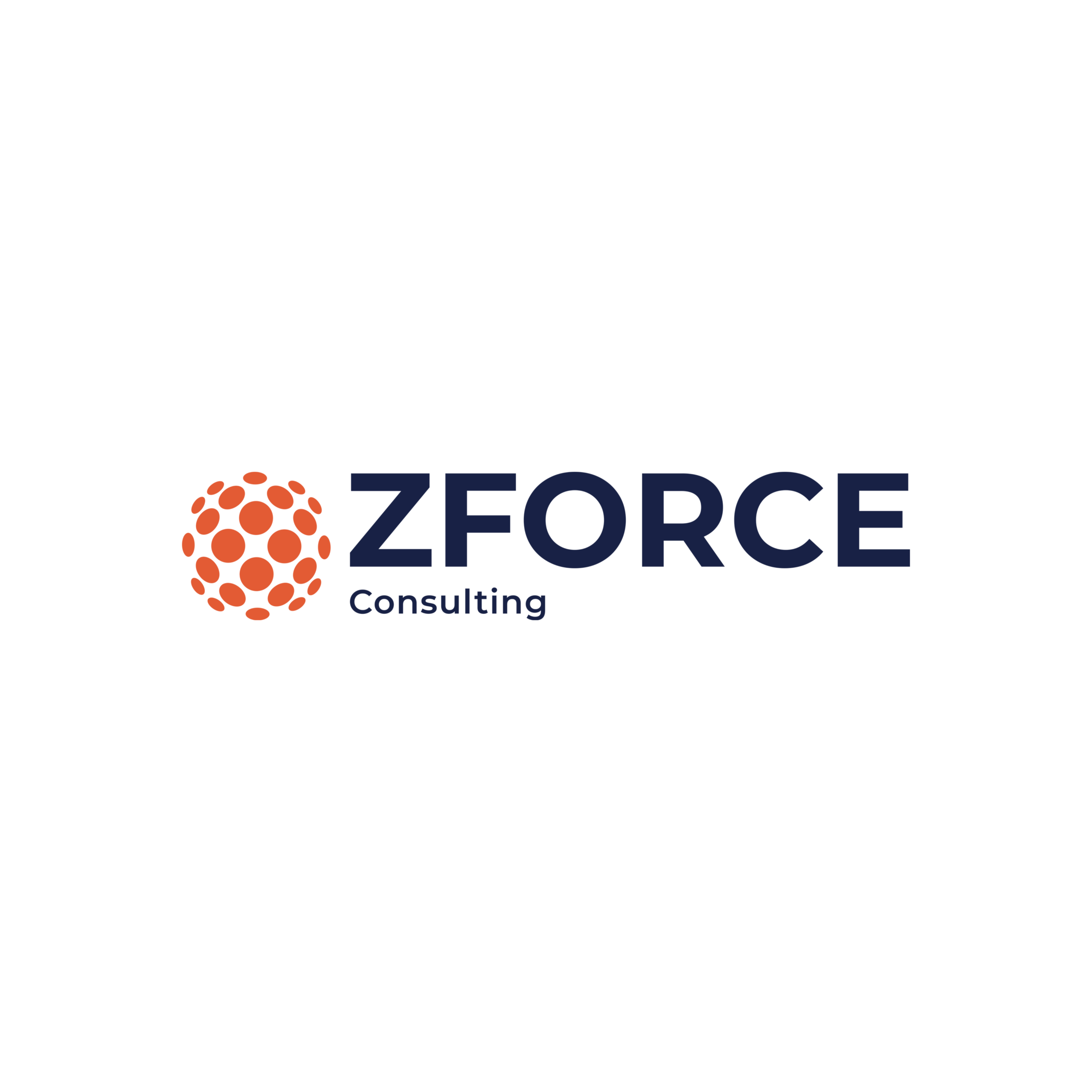 zforceconsulting.com